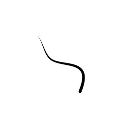 Illustration of Hair Strands. Black hair