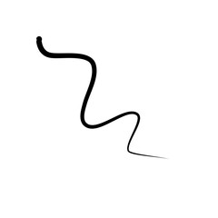 Illustration of Hair Strands. Black hair