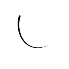 Illustration of Hair Strands. Black hair