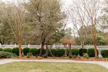 Beautiful landscape in a swamp with cypress trees with Spanish moss, aerial roots and alligators. Beautiful landscape design. Cypress Garden, Charleston, South Carolina, USA