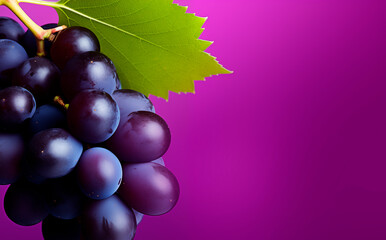 Grape bunch close up, purple background with copy space - 766652037