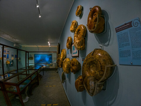 View of a small museum at La Vanille Crocodile Park in Mauritius island