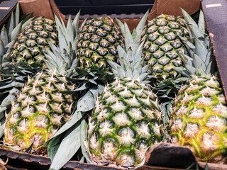 Fresh Pineapples Displayed in a Market - Powered by Adobe