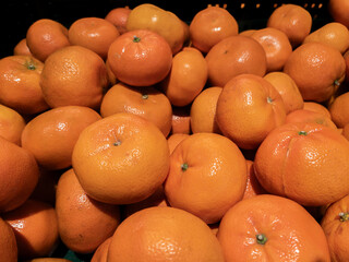 Fresh Citrus Oranges in a Market