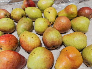 Variety of Fresh Pears on Display