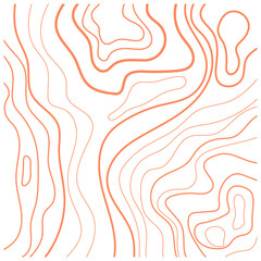 Topography Pattern Vector