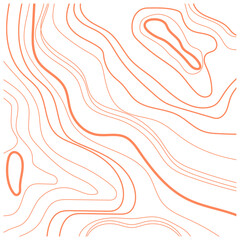 Topography Pattern Vector