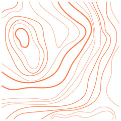 Topography Pattern Vector