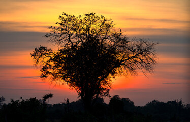 Sunrise in Botswana, Africa