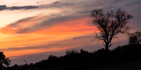 Fototapeta na wymiar Sunrise in Botswana, Africa