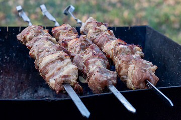 shish kebab on a skewer