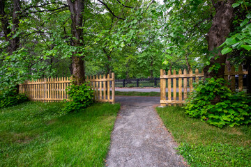 Fototapeta na wymiar The opening of a wooden picket fence at the end of a concrete pathway. There are large mature lush green maple trees with sprigs sticking out at the bottom of the tree trunks covered in leaves