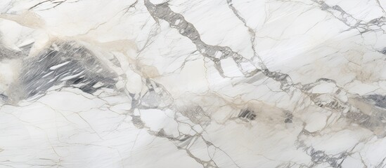 Beautiful and sophisticated marble texture featuring a color palette of black, white, and gray with intricate patterns