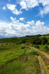 Fototapeta na wymiar Views around Glengarry, scottish Highlands
