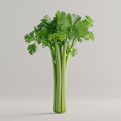 celery, food, green, parsley, fresh, isolated, vegetable, leaf, herb, healthy, white, salad, bunch, ingredient, vegetarian, vegetables, plant, raw, diet, leaves, organic, celery, spice, natural, coria