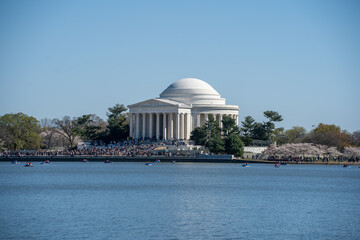 Jefferson Memorial during Cherry Blossums