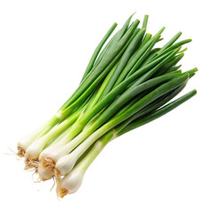 Fresh green spring onions isolated on transparent background.