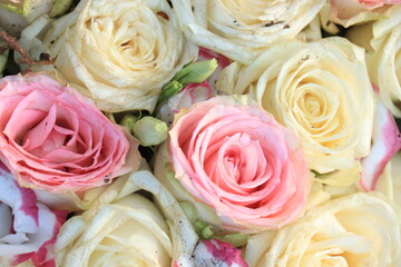 Pastel wedding flowers - 766676470