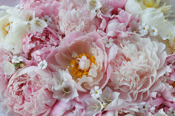 Pink and white peonies, bell flowers, gypsophila closeup, beautiful background, postcard.