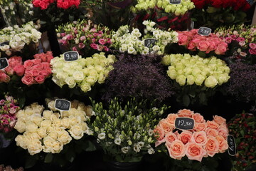 Roses in a flower shop - 766677633