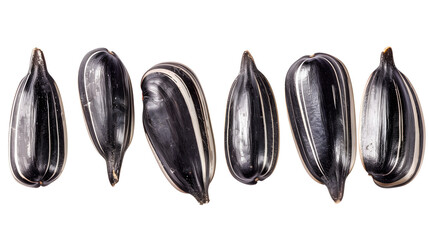 Set of delicious black sunflower seeds, cut out
 - Powered by Adobe