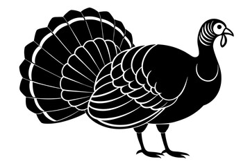 turkey vector illustration