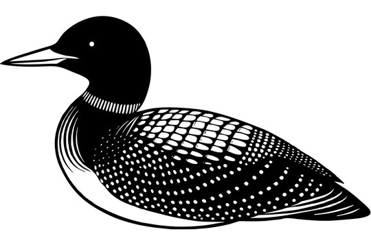 recommend clip art: loon silhouette vector illustration
