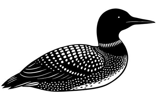 recommend clip art: loon silhouette vector illustration