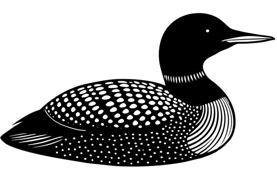 recommend clip art: loon silhouette vector illustration