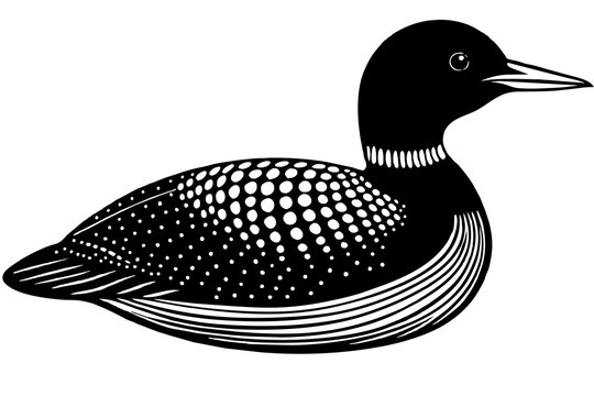 recommend clip art: loon silhouette vector illustration