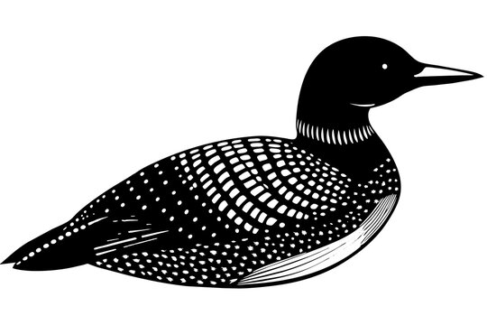 recommend clip art: loon silhouette vector illustration
