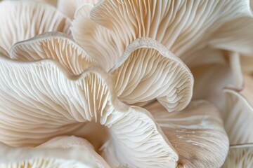 Elegant Oyster Mushroom Patterns in Close-Up. Generative ai - obrazy, fototapety, plakaty