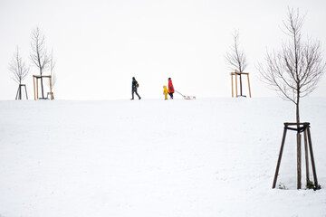 Family in the snow at Lake Störmthal. Snowy landscape. People's colorful clothing. child with yellow jacket, woman with red jacket pulls the sleigh. - obrazy, fototapety, plakaty