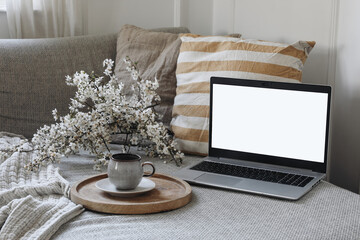 Modern spring scandinavian living room interior. Sofa with linen yellow striped cushions and cup of coffee. Cherry plum blossoms in vase. Laptop mockup with blank screen. Elegant home office decor.