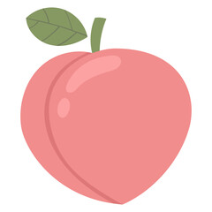 Peach fruit illustration