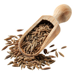Cumin or caraway seeds in scoop isolated on transparent background  - obrazy, fototapety, plakaty
