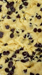 Homemade Chocolate Chip Cookie Dough