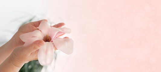 mature female hands holding pink magnolia flower, symbolizing beauty, Natural cosmetic for hand...