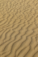 ripples in the sand