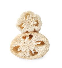 Natural shower loofah sponges on white background