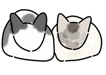 仲良し猫ちゃん