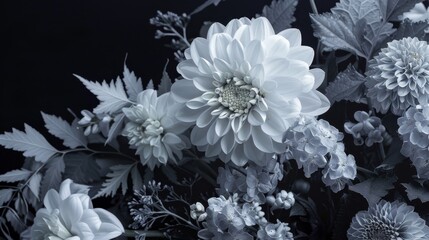 Monochromatic Blooms Professional captures of monochromatic flower arrangements highlighting the elegance and sophistic AI generated illustration