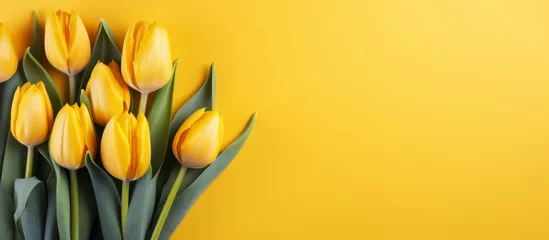 Foto op Canvas A vibrant bouquet of yellow tulips stands out against a yellow background, showcasing the beauty of this flowering plant with its petals and buds © AkuAku