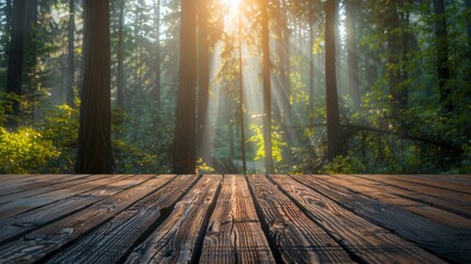 Dark wood floor with background with sunlight and forest 