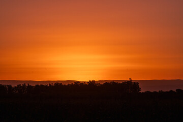 sunset in agriculture field barley corn soybeans or sorghum with fog or ground in suspension