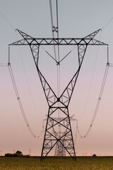 power towers passing with their cables over agricultural fields at dusk