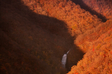 夕陽に染まる紅葉の山と日陰にある滝