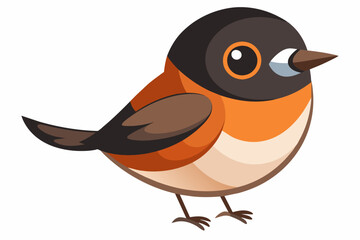 stonechat bird vector illustration