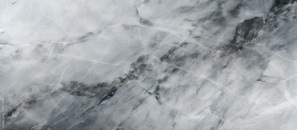 Poster a close-up view of a smooth marble surface featuring an intricate black and white pattern, creating 