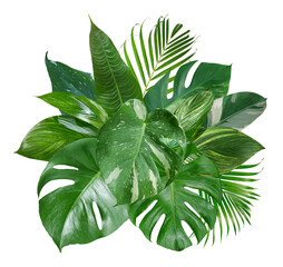 Bouquet of tropical green leaves arrangement nature backdrop isolated on transparent background